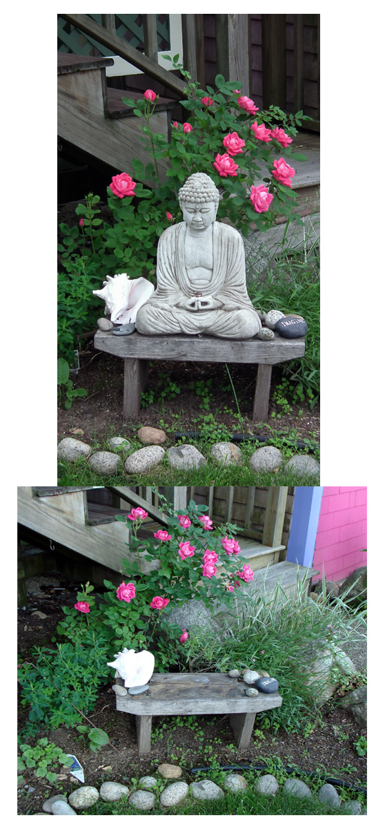 brendas buddha before and now