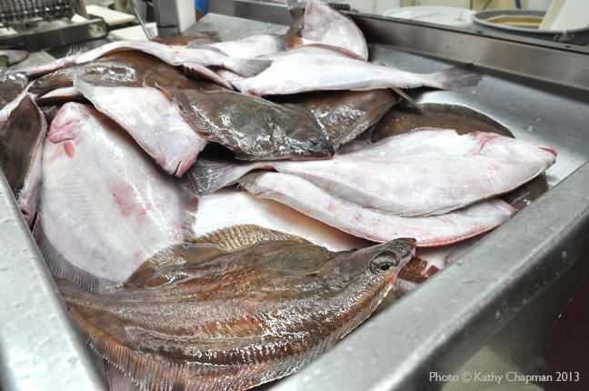 Flounder