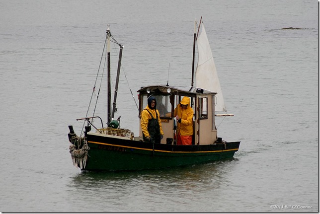 Foul_Weather_Skipper