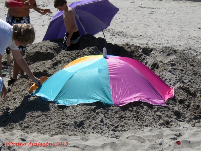 June 15, 2013 cleaver