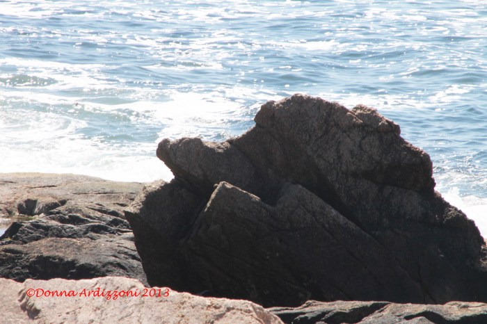 June 15, 2013 witches profile