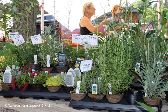 June 20, 2013 Frsh Herbs