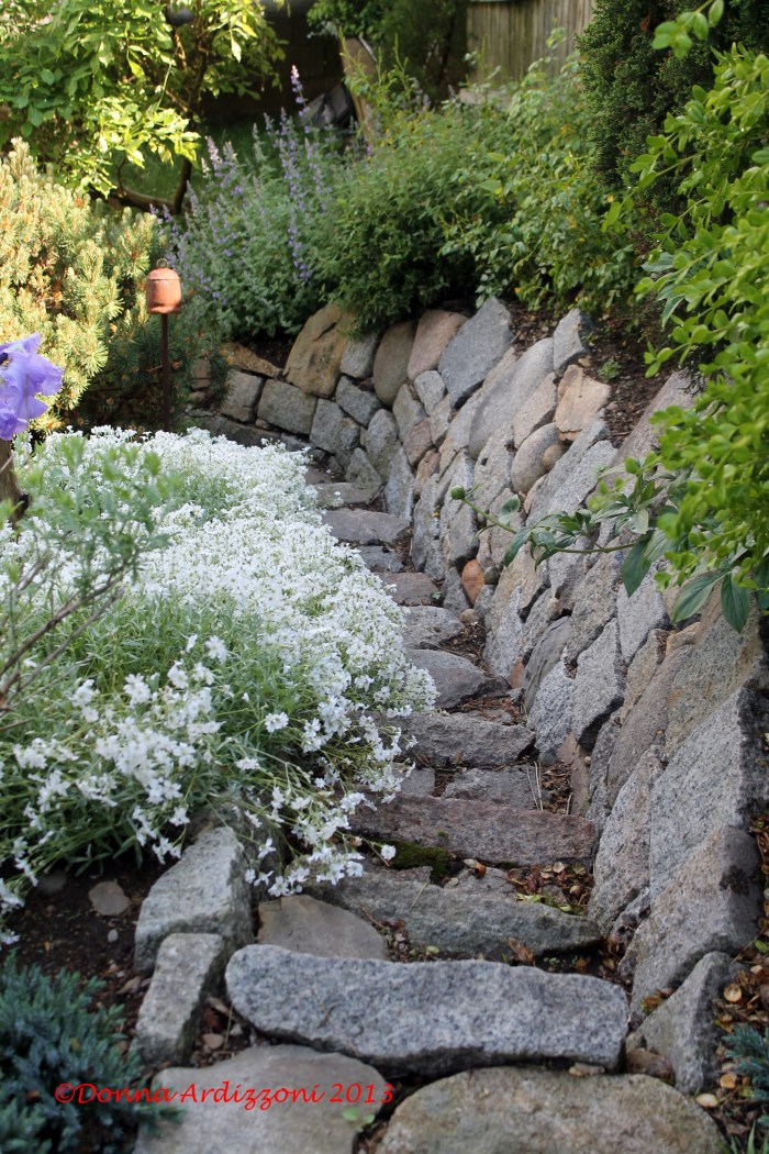 June 3, 2013 Stairway to the ocean