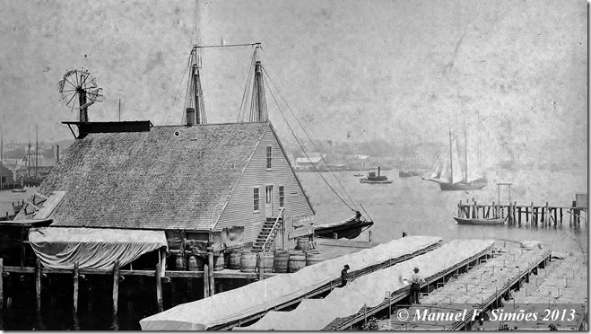 Rocky Neck Photo (2)