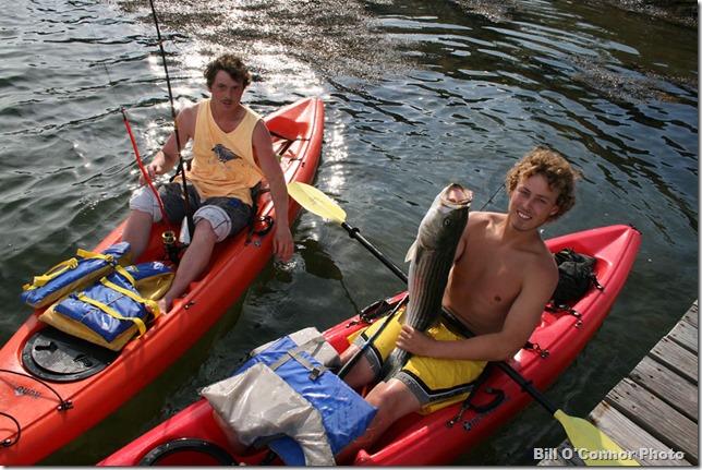 Stripers_in_Wonson_Cove