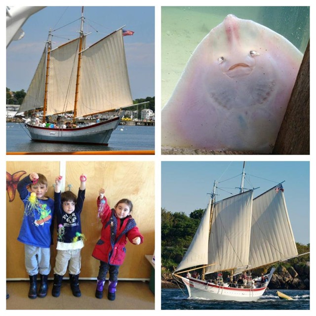 1070021_582188301825035_2007125701_n