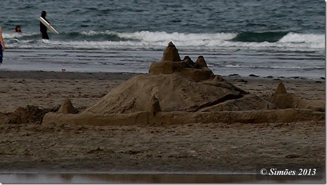 _2013_07_22_036892(1)