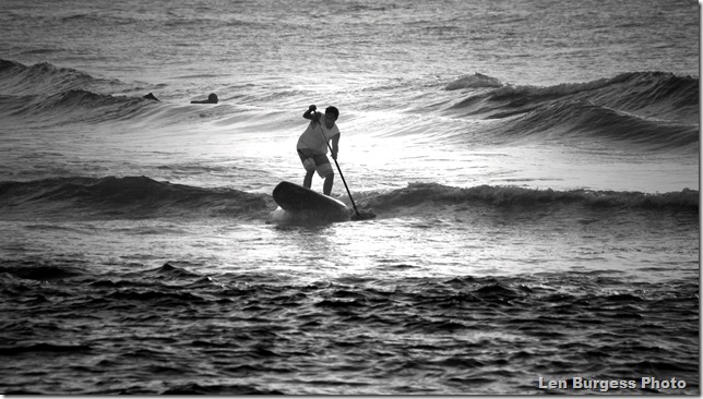 GdHrbrSurferB W_8016