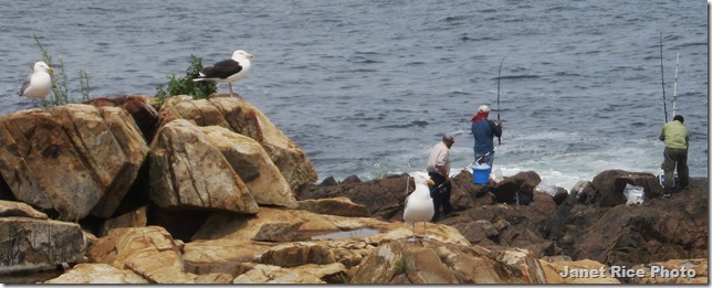 IMG_2946 - Copy - Copy (2)