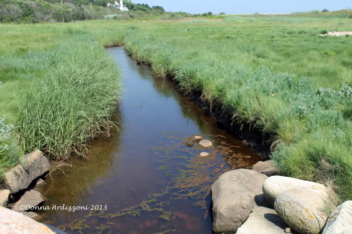 July 20, 2013 Eastern point