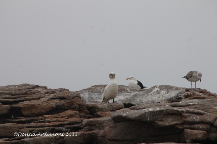 July 26, 2013 really cute