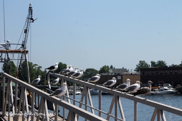 July 5, 2013 Homies what is so interesting