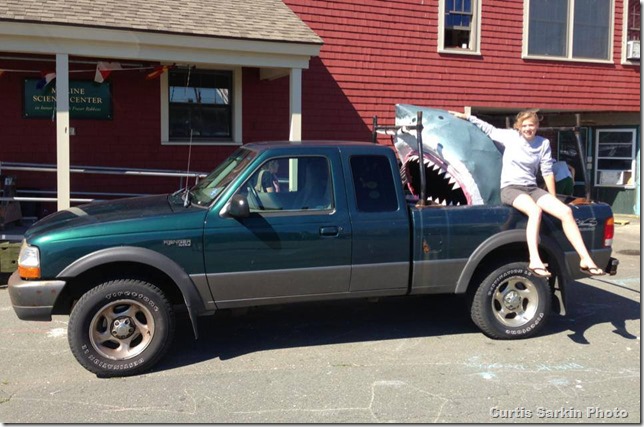 1146655_588995841144281_1917981584_n