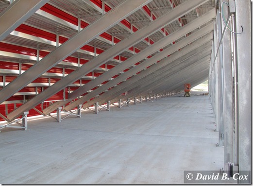 2013Aug Block Party 009