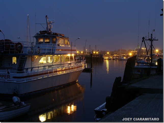 2684289517_94201169ae_z