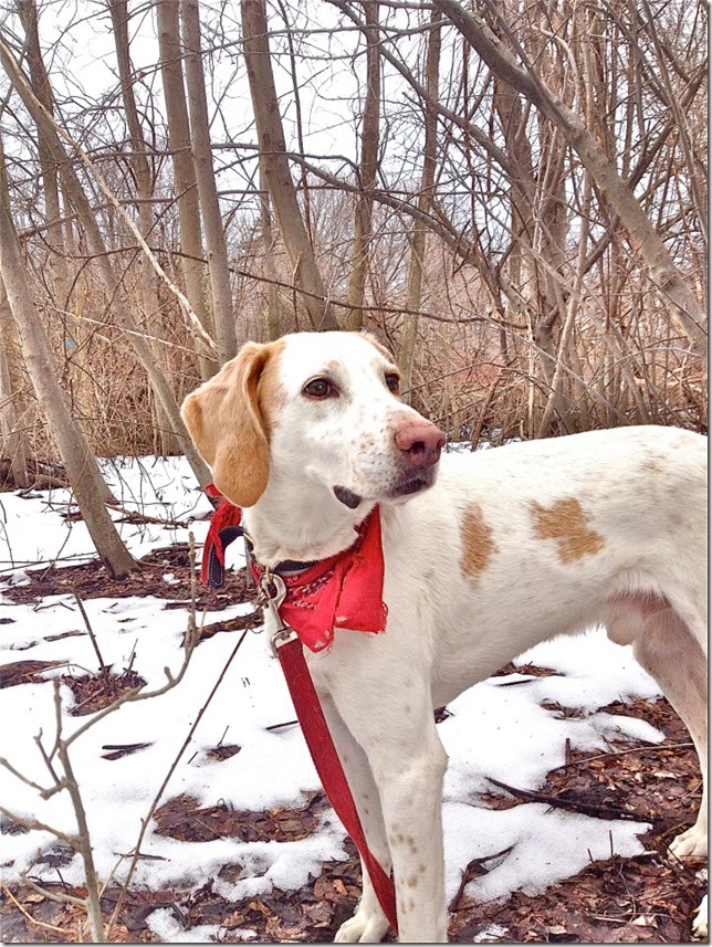 426481_586175441410808_578301497_n