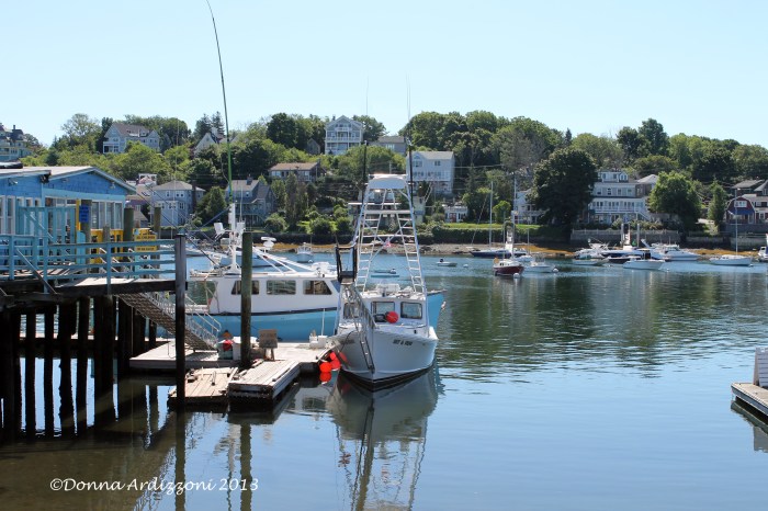 August 11, 2013 Beautiful View from Madfish Wharf Mug Up
