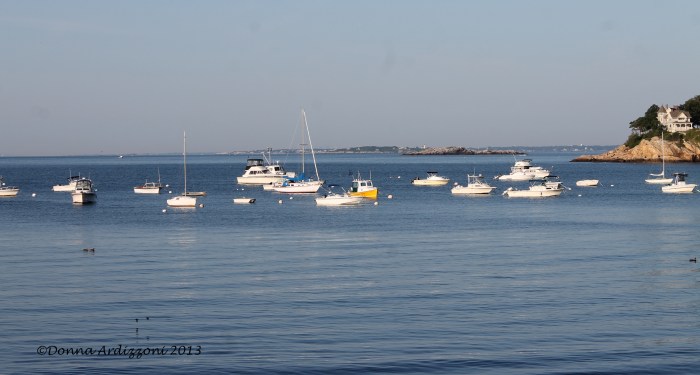 August 17, 2013 early morning in Magnolia Harbor