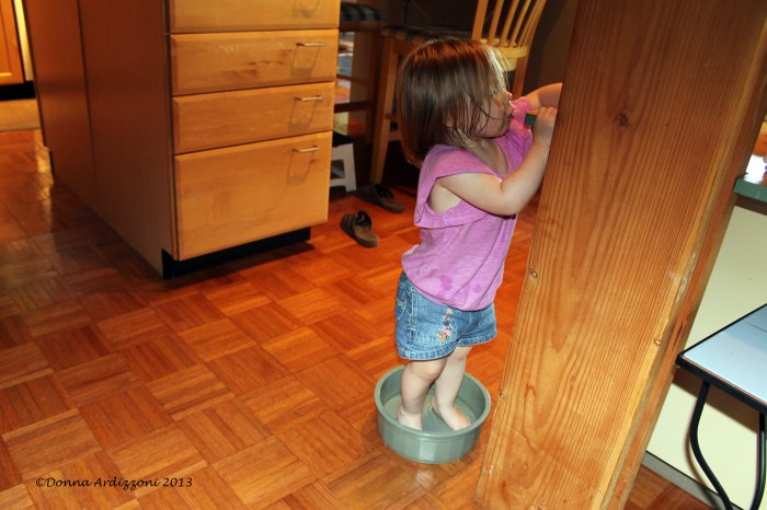 August 3, 2013 Little Rile Wading in Rosie's water bowl