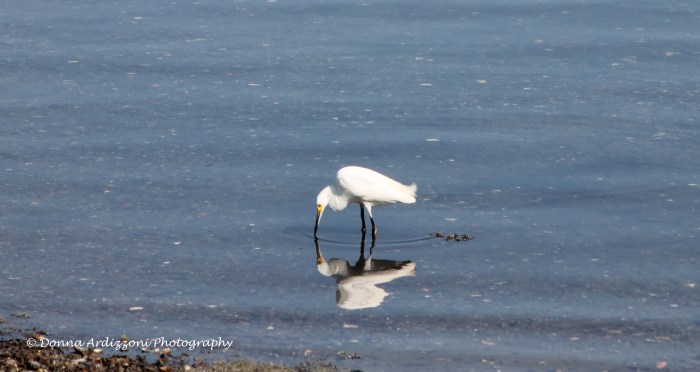 August 30, 2013 are you looking at me