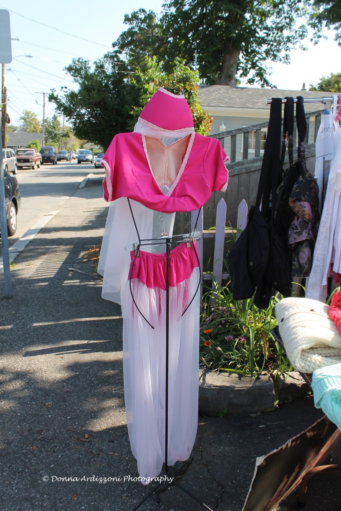 August 30, 2013 Dream of Jeannie on the neck