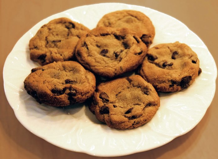 chocolate chip cookie