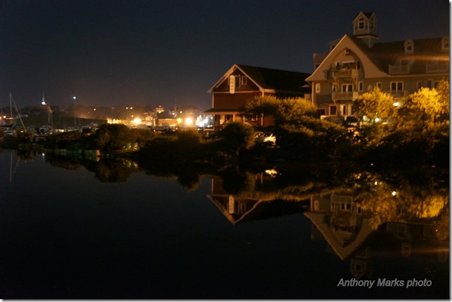 Pirates Lane Reflections