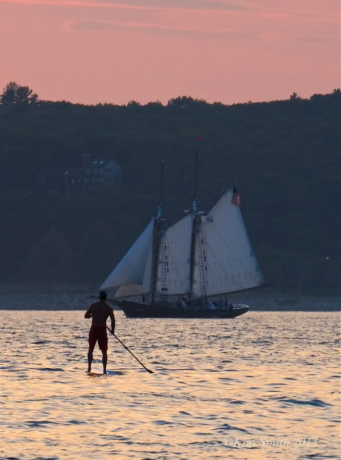 Niles Beach SUP ©Kim Smith 2013