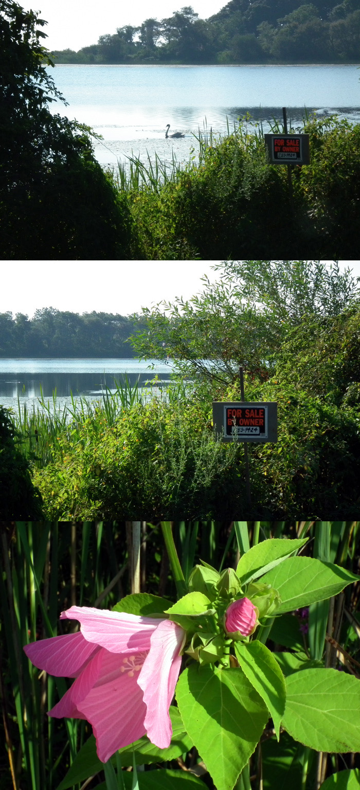 niles pond for sale copy