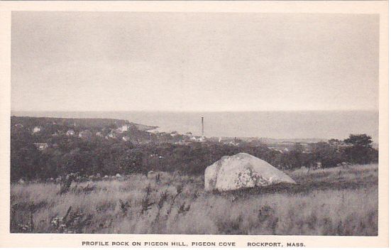 profilerockon pigeonhill