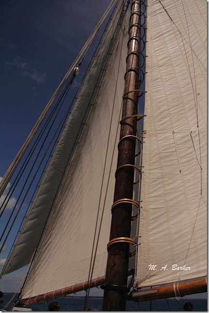 The Adventure sails 1