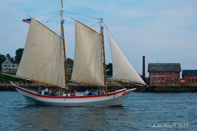 View from the Lannon ©Kim Smith 2013