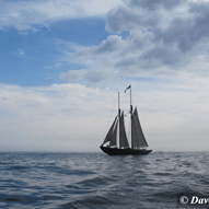 View album View album