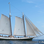 View album View album