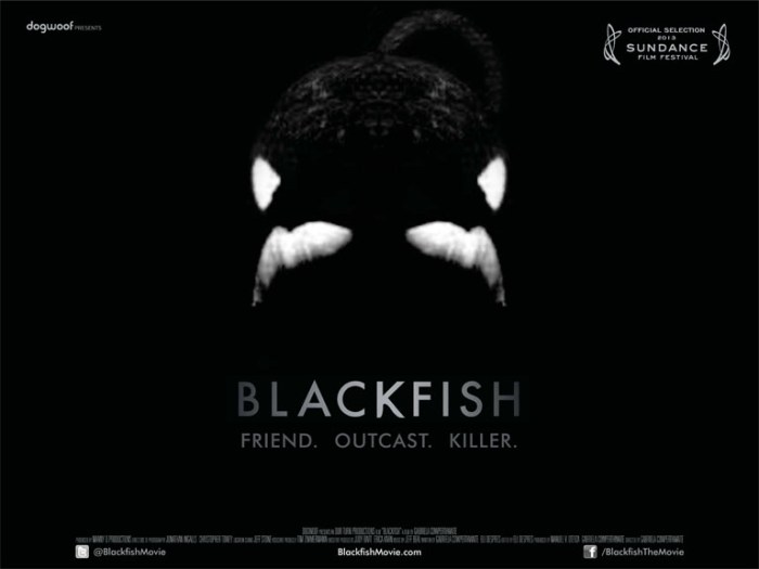 blackfish
