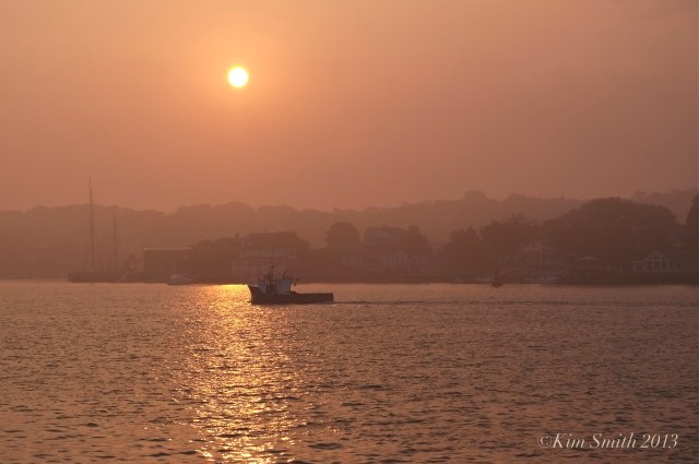 East Gloucester Sunrise Black Sheep ©Kim Smith 2013.