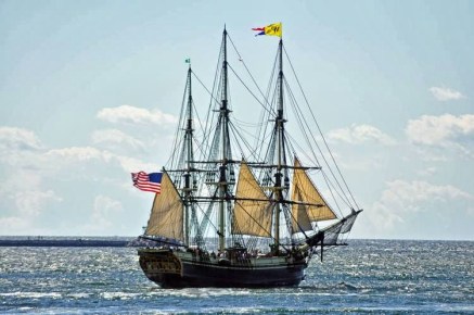 friendshipshrunktohalf