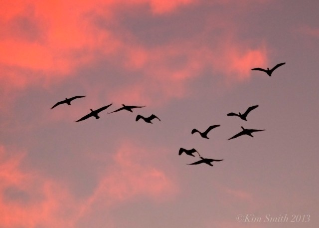 Good Harbor beach ©Kim Smith 2013