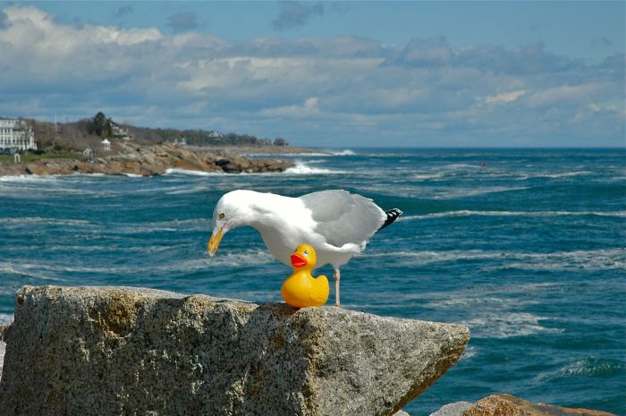 You going to the Bloody Mary Mug Up Sunday?