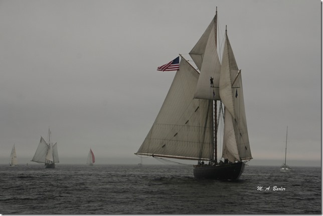 2013 Schooner Festival