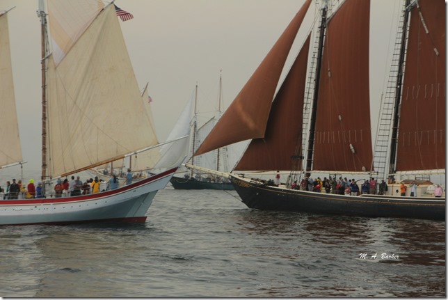 2013 Schooner Festival