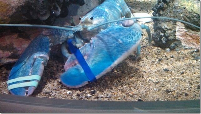 IMG_20130919_134937_074