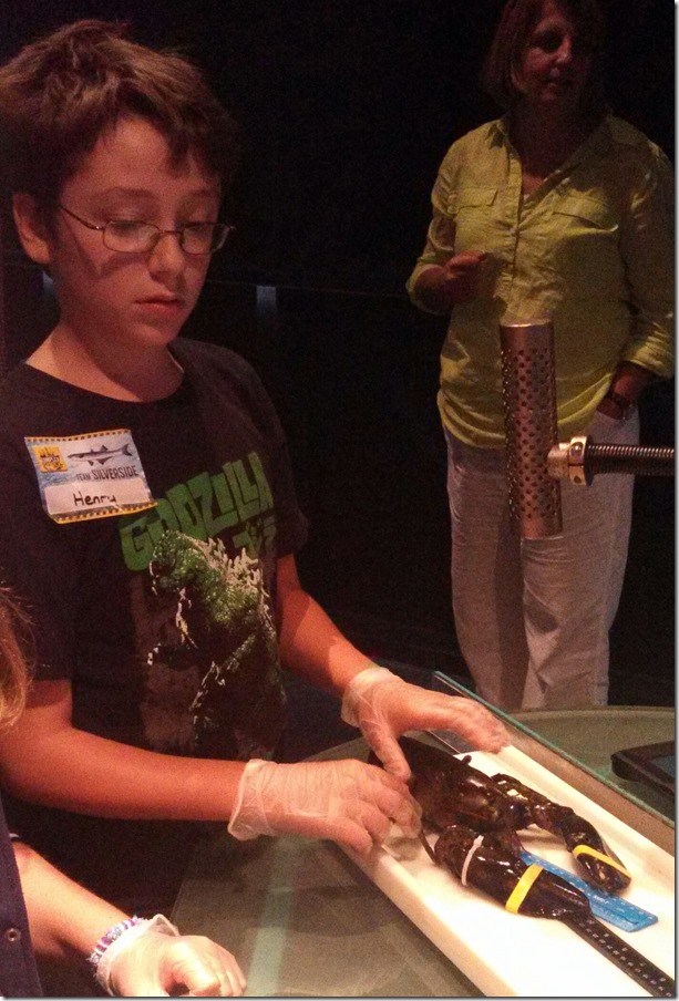 IMG_20130919_144207_556-1