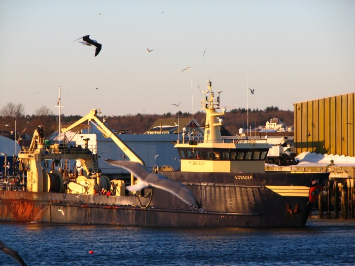 Another one FOR SALE  5 million $