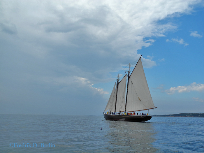 The Gloucester Schooner Adventure, built in 1926, joins the race for the first time in 20 years. She placed 2nd.
