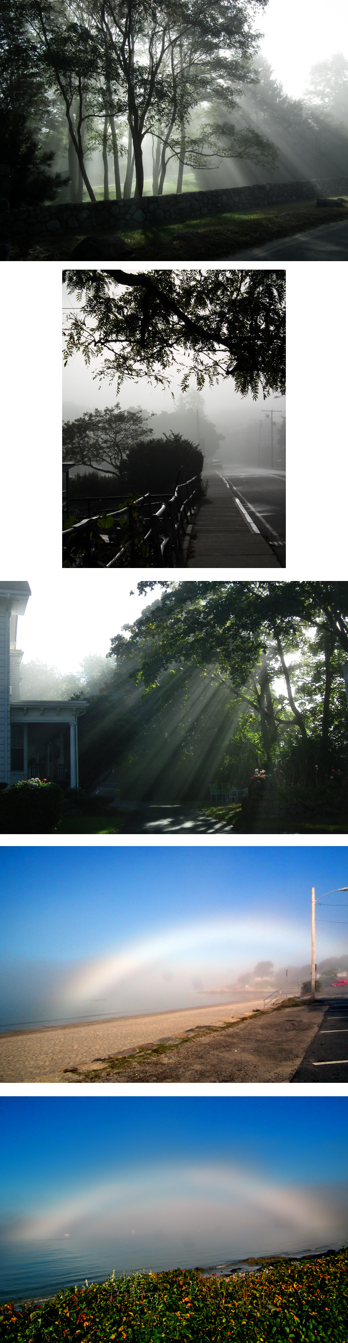 magic morning with fog bow