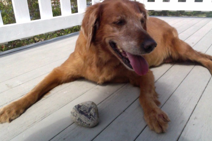 "Mango" Sniffed out the rock in record time!