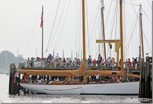 SchnoorBrilliant_9504