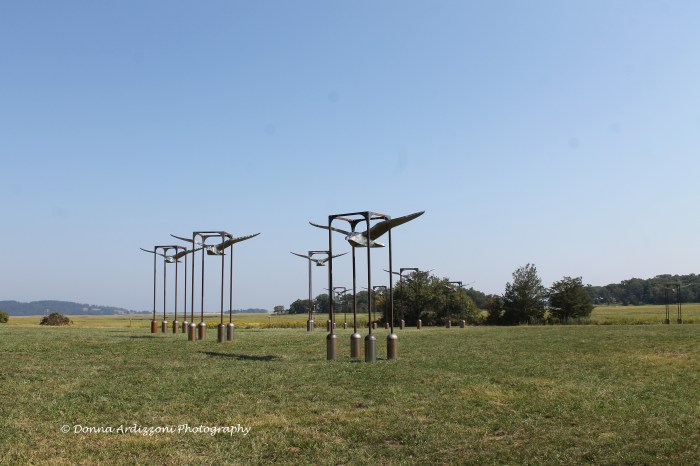 September 11, 2013 Cox Reservation in Essex