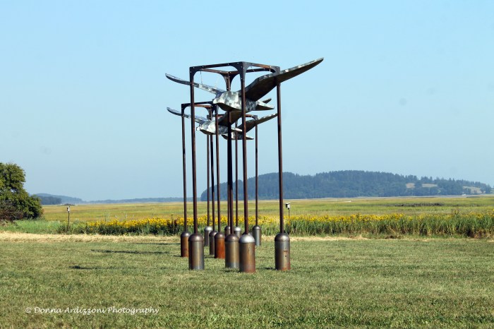 September 11, 2013 pretty birds